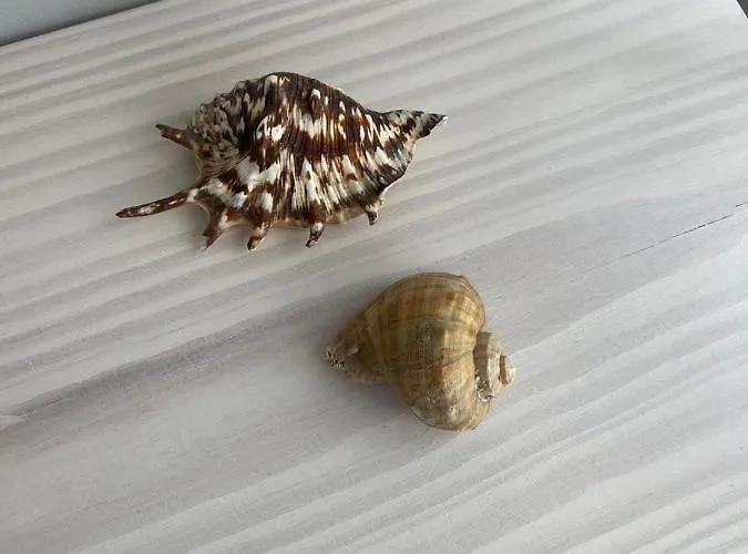 Cricket Апартаменты